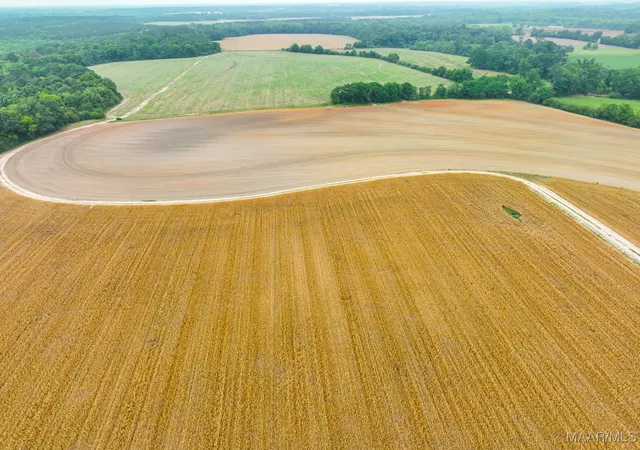 Photo 3 of Land for sale at 2833 Omussee Rd, Dothan, AL 36303 | MLS# 566432 | Listing updated on 2026-09-05