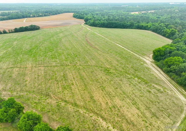 Photo 4 of Land for sale at 2833 Omussee Rd, Dothan, AL 36303 | MLS# 566432 | Listing updated on 2026-09-05