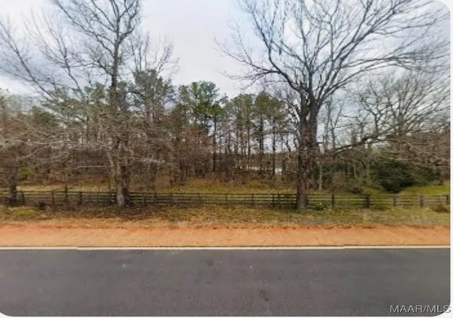 Land for sale at 180 Winchester Tr, Mathews, AL 36052 | MLS# 572213