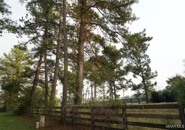 Photo 2 of Land for sale at 180 Winchester Tr, Mathews, AL 36052 | MLS# 572213 | Listing updated on 2026-09-04
