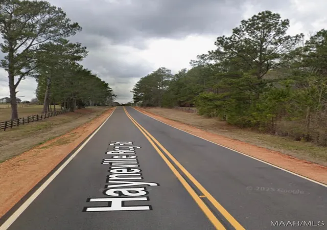 Photo 3 of Land for sale at 180 Winchester Tr, Mathews, AL 36052 | MLS# 572213 | Listing updated on 2026-09-04