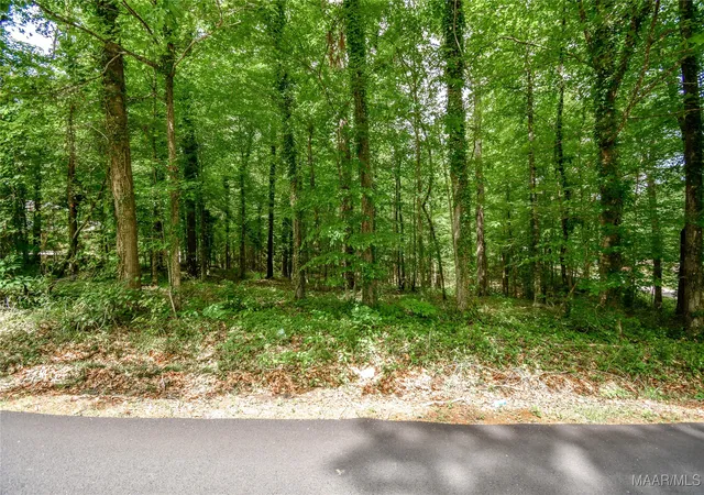 Photo 1 of Land for sale at 0 Noble Rd, Tallassee, AL 36078 | MLS# 576173 | Listing updated on 2026-09-10