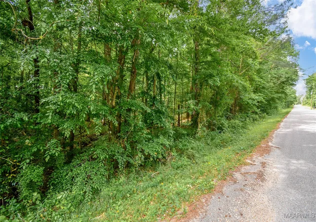 Photo 2 of Land for sale at 0 Noble Rd, Tallassee, AL 36078 | MLS# 576173 | Listing updated on 2026-09-10