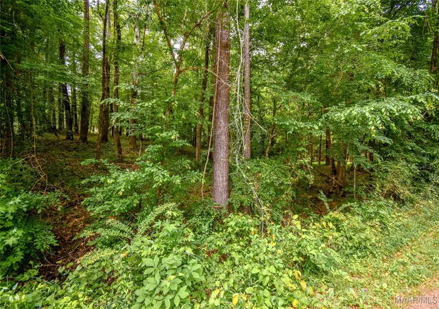Photo 3 of Land for sale at 0 Noble Rd, Tallassee, AL 36078 | MLS# 576173 | Listing updated on 2026-09-10