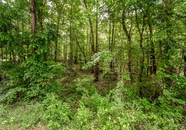 Photo 4 of Land for sale at 0 Noble Rd, Tallassee, AL 36078 | MLS# 576173 | Listing updated on 2026-09-10