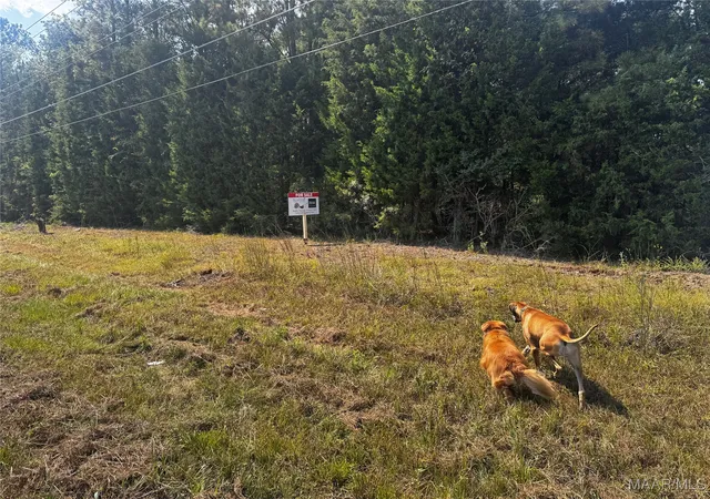 Photo 1 of Land for sale at 0 County Road 131, Boligee, AL 35443 | MLS# 576536 | Listing updated on 2026-09-02