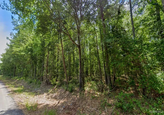 Photo 1 of Land for sale at 021 Lee Rd #140, Salem, AL 36874 | MLS# 577802 | Listing updated on 2026-08-29