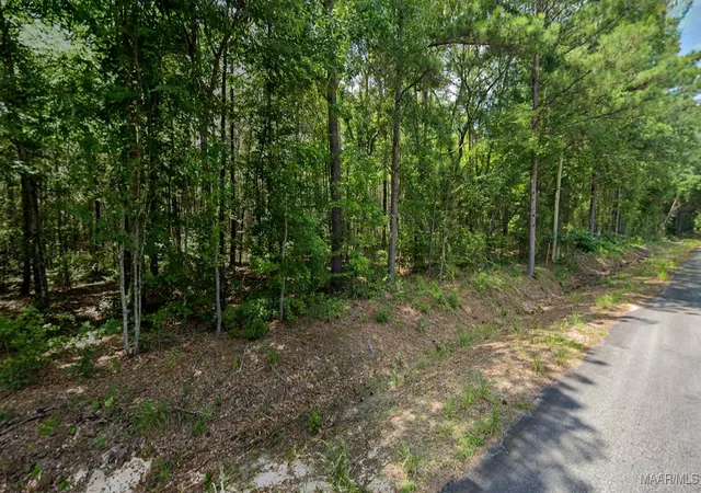 Photo 2 of Land for sale at 021 Lee Rd #140, Salem, AL 36874 | MLS# 577802 | Listing updated on 2026-08-29