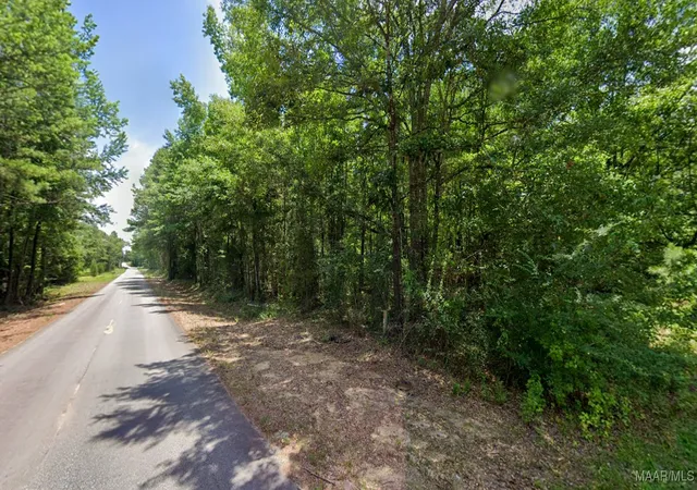 Photo 3 of Land for sale at 021 Lee Rd #140, Salem, AL 36874 | MLS# 577802 | Listing updated on 2026-08-29