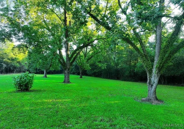 Photo 4 of Land for sale at 1205 Turkey Crk Rd, Luverne, AL 36049 | MLS# 577942 | Listing updated on 2026-09-09