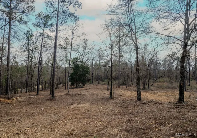 Photo 1 of Land for sale at 742 Ethan Ln, Prattville, AL 36067 | MLS# 579765 | Listing updated on 2026-09-02