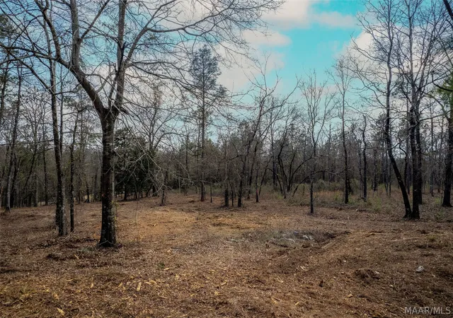 Photo 2 of Land for sale at 742 Ethan Ln, Prattville, AL 36067 | MLS# 579765 | Listing updated on 2026-09-02