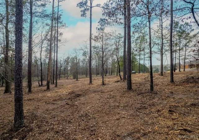 Photo 3 of Land for sale at 742 Ethan Ln, Prattville, AL 36067 | MLS# 579765 | Listing updated on 2026-09-02