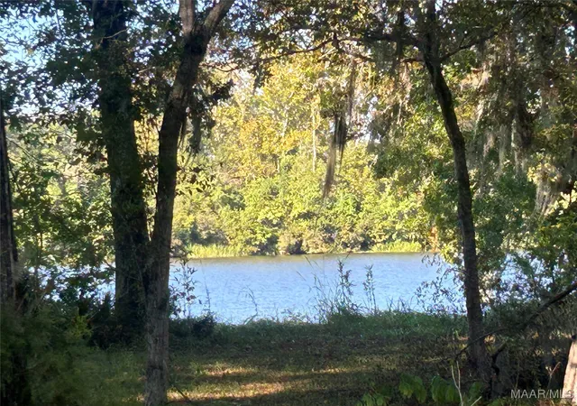 Photo 1 of Land for sale at 6,7 Shadow Crk Cir #6&7, Camden, AL 36726 | MLS# 580774 | Listing updated on 2026-09-10