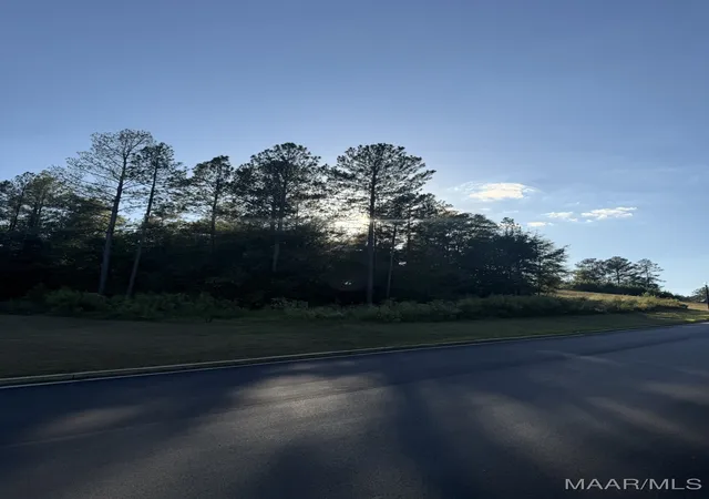 Photo 2 of Land for sale at Lot 301 Brookwood Dr, Wetumpka, AL 36093 | MLS# 580748 | Listing updated on 2026-09-10