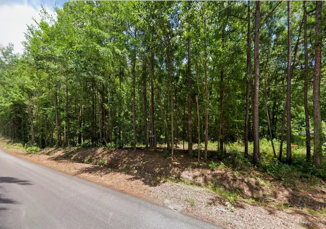 Photo 1 of Land for sale at 0 Lee Rd #175, Salem, AL 36874 | MLS# 580943 | Listing updated on 2026-08-29