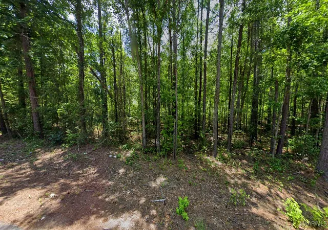 Photo 2 of Land for sale at 0 Lee Rd #175, Salem, AL 36874 | MLS# 580943 | Listing updated on 2026-08-29