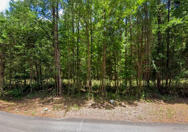 Photo 2 of Land for sale at 0 Lee Rd #175, Salem, AL 36874 | MLS# 580943 | Listing updated on 2026-08-29
