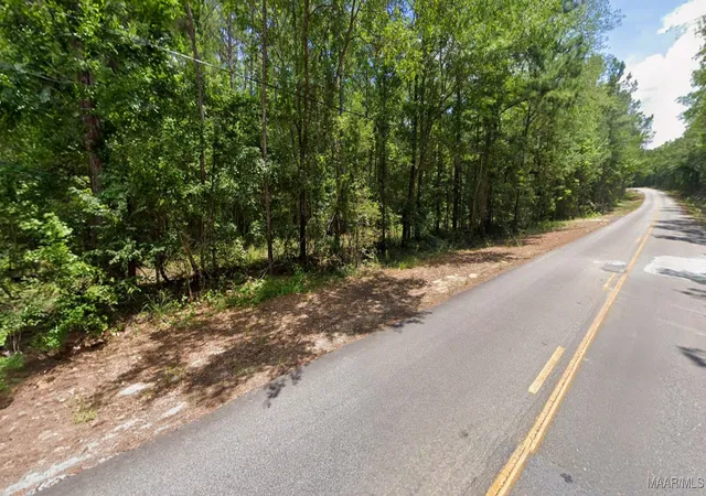 Photo 3 of Land for sale at 0 Lee Rd #175, Salem, AL 36874 | MLS# 580943 | Listing updated on 2026-08-29