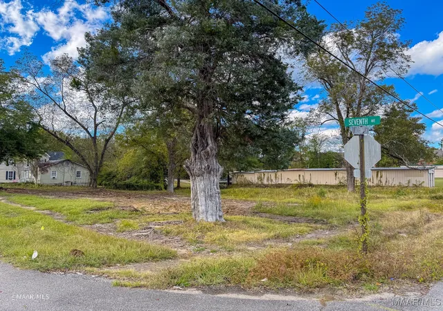 Photo 3 of Land for sale at 0 7th Avenue W, Linden, AL 36748 | MLS# 582031 | Listing updated on 2026-09-09