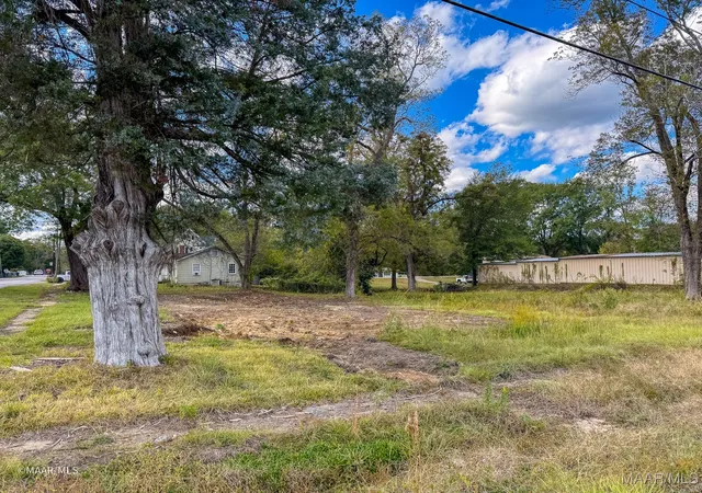 Photo 4 of Land for sale at 0 7th Avenue W, Linden, AL 36748 | MLS# 582031 | Listing updated on 2026-09-09