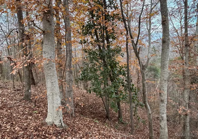 Photo 2 of Land for sale at 3942 Ridge Rd, Greenville, AL 36037 | MLS# 582142 | Listing updated on 2026-09-04