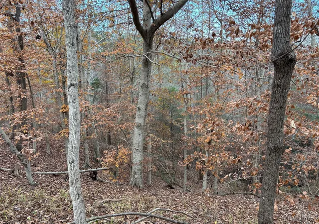 Photo 3 of Land for sale at 3942 Ridge Rd, Greenville, AL 36037 | MLS# 582142 | Listing updated on 2026-09-04