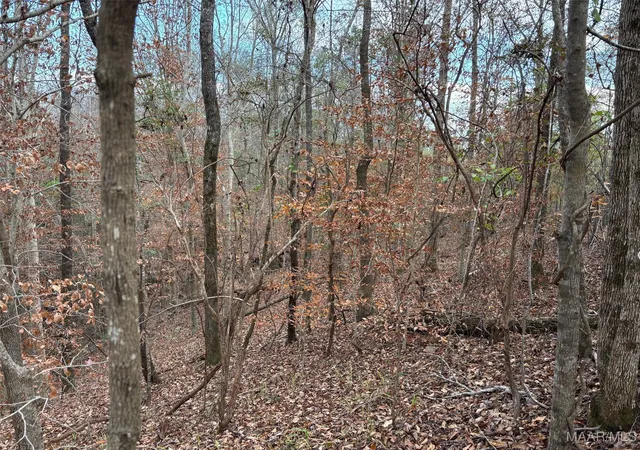 Photo 3 of Land for sale at 3942 Ridge Rd, Greenville, AL 36037 | MLS# 582142 | Listing updated on 2026-09-04