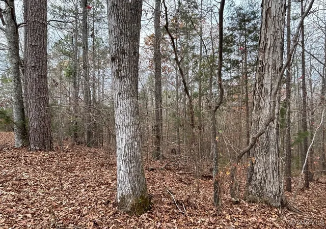 Photo 4 of Land for sale at 3942 Ridge Rd, Greenville, AL 36037 | MLS# 582142 | Listing updated on 2026-09-04
