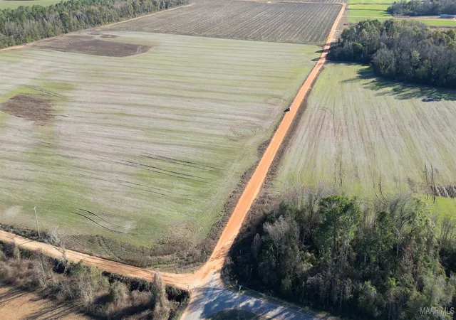 Photo 2 of Sale Pending at 0a Wiggins Rd, Frisco City, AL 36445 | MLS# 582427 | Listing updated on 2026-09-04