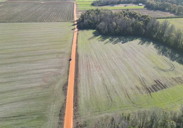 Photo 3 of Sale Pending at 0a Wiggins Rd, Frisco City, AL 36445 | MLS# 582427 | Listing updated on 2026-09-04