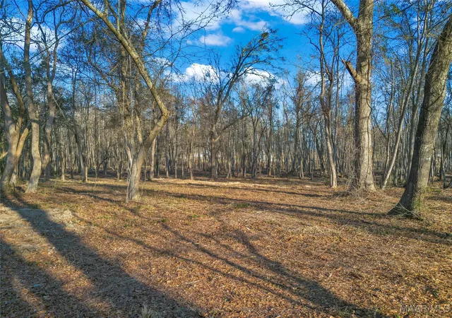 Photo 3 of Land for sale at 849 Baltzer Rd, Wetumpka, AL 36092 | MLS# 582611 | Listing updated on 2026-09-02