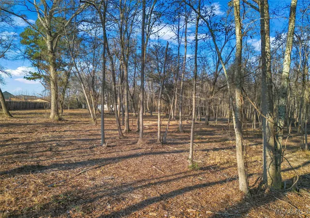 Photo 3 of Land for sale at 849 Baltzer Rd, Wetumpka, AL 36092 | MLS# 582611 | Listing updated on 2026-09-30