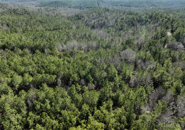 Photo 2 of Land for sale at 57 Pryor Btm Rd, Marion, AL 36756 | MLS# 583307 | Listing updated on 2026-09-05