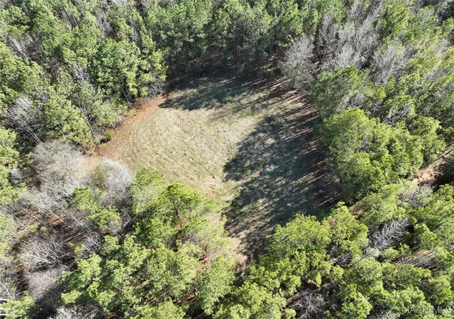 Photo 3 of Land for sale at 57 Pryor Btm Rd, Marion, AL 36756 | MLS# 583307 | Listing updated on 2026-09-05