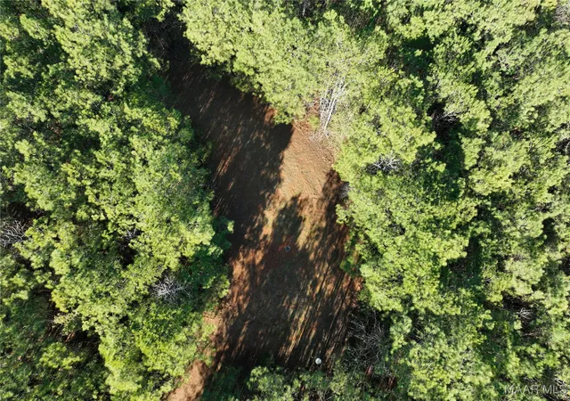 Photo 3 of Land for sale at 57 Pryor Btm Rd, Marion, AL 36756 | MLS# 583307 | Listing updated on 2026-09-05