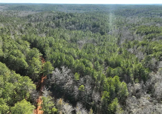 Photo 4 of Land for sale at 57 Pryor Btm Rd, Marion, AL 36756 | MLS# 583307 | Listing updated on 2026-09-05
