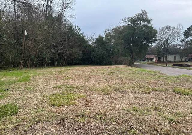Photo 4 of Land for sale at 37 Elizabeth St, Montgomery, AL 36104 | MLS# 583450 | Listing updated on 2026-09-05