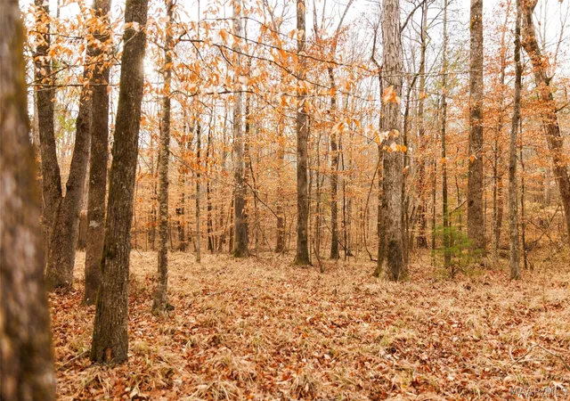 Photo 2 of Land for sale at 570 Jug Factory Rd, Wetumpka, AL 36093 | MLS# 583729 | Listing updated on 2026-09-09