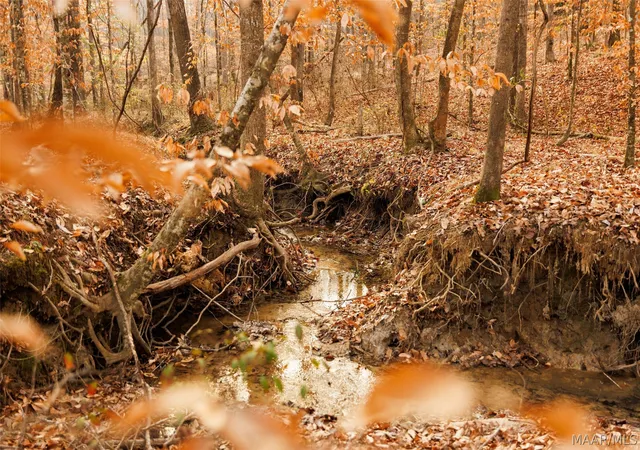 Photo 4 of Land for sale at 570 Jug Factory Rd, Wetumpka, AL 36093 | MLS# 583729 | Listing updated on 2026-09-09