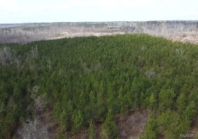 Land for sale at 0 Butter And Egg Rd, Troy, AL 36081 | MLS# 584523