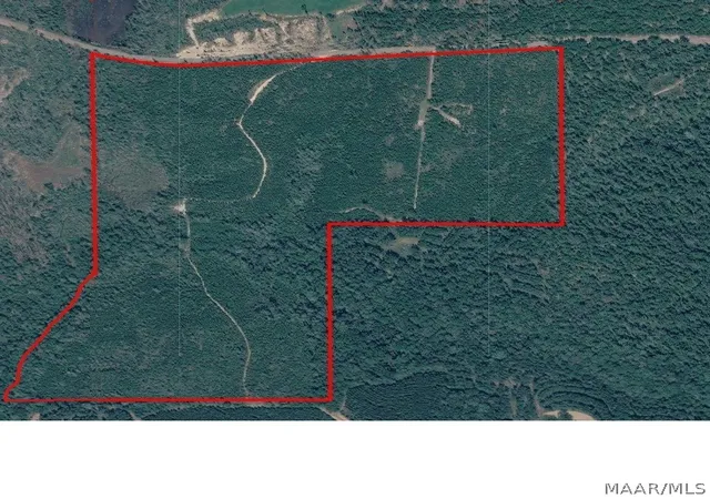 Photo 1 of Land for sale at 0 Butter And Egg Rd, Troy, AL 36081 | MLS# 584523 | Listing updated on 2026-09-05
