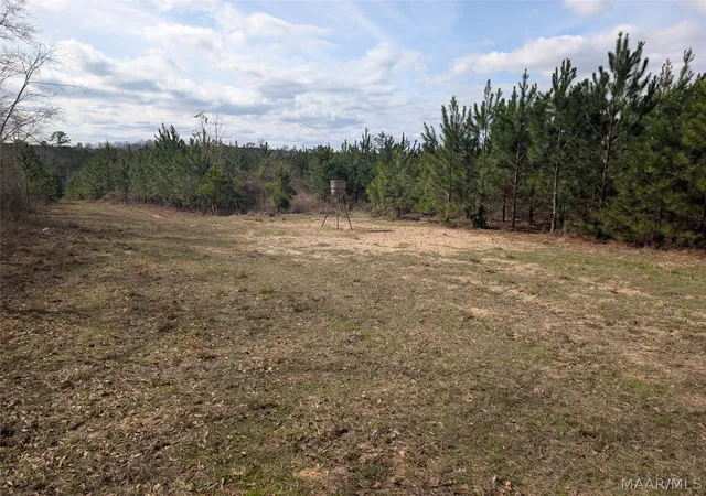Photo 2 of Land for sale at 0 Butter And Egg Rd, Troy, AL 36081 | MLS# 584523 | Listing updated on 2026-09-05