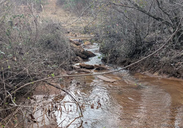 Photo 3 of Land for sale at 0 Butter And Egg Rd, Troy, AL 36081 | MLS# 584523 | Listing updated on 2026-09-05