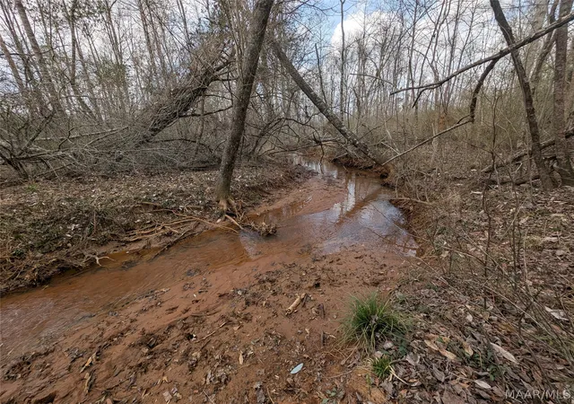 Photo 4 of Land for sale at 0 Butter And Egg Rd, Troy, AL 36081 | MLS# 584523 | Listing updated on 2026-09-05