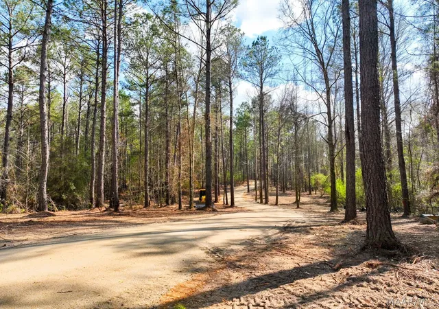 Photo 1 of Land for sale at 11 Highway 80, Auburn, AL 36830 | MLS# 584597 | Listing updated on 2026-09-25