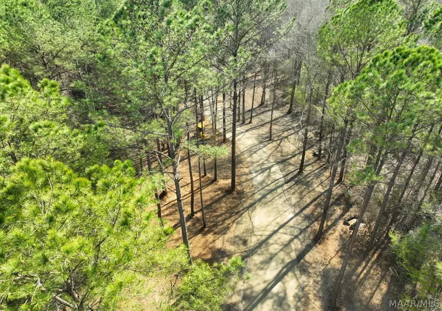 Photo 2 of Land for sale at 11 Highway 80, Auburn, AL 36830 | MLS# 584597 | Listing updated on 2026-09-25