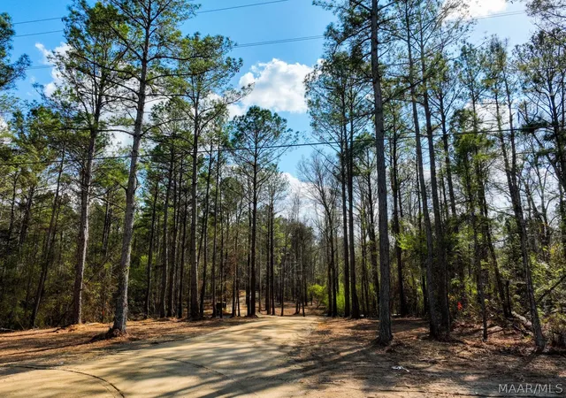 Photo 3 of Land for sale at 11 Highway 80, Auburn, AL 36830 | MLS# 584597 | Listing updated on 2026-09-25
