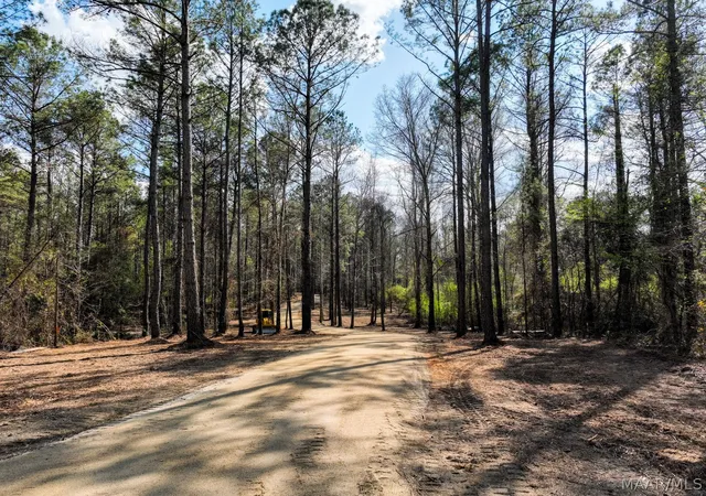Photo 4 of Land for sale at 11 Highway 80, Auburn, AL 36830 | MLS# 584597 | Listing updated on 2026-09-25