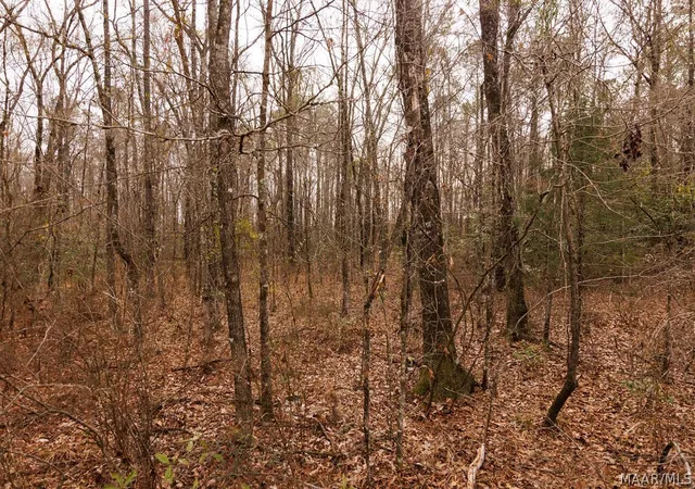 Photo 3 of Land for sale at 3 Jug Factory Rd, Wetumpka, AL 36093 | MLS# 584744 | Listing updated on 2026-09-09